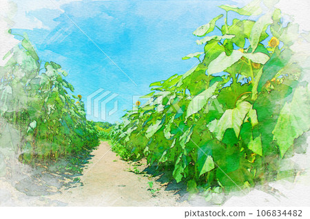 [知多郡]觀光農場花廣場向日葵田水彩畫 106834482
