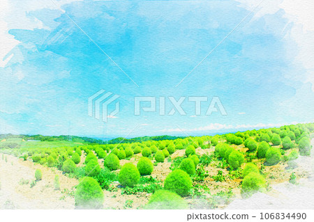 [知多縣] 觀光農場花廣場的地膚田水彩畫 106834490