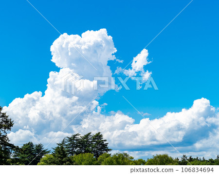 動感夏日藍天白雲 動感夏日藍天白雲 106834694