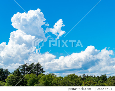 Dynamic summer blue sky and white clouds Dynamic summer blue sky and white clouds 106834695