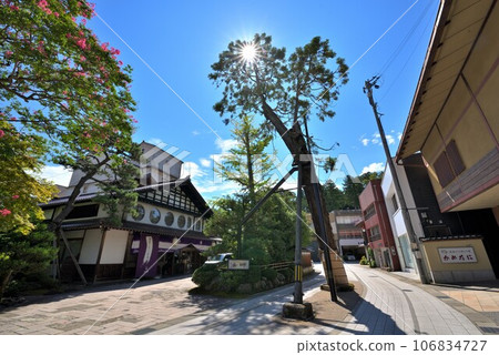 [Ishikawa Prefecture] Awazu Onsen townscape, 400-year-old Komon cedar 106834727