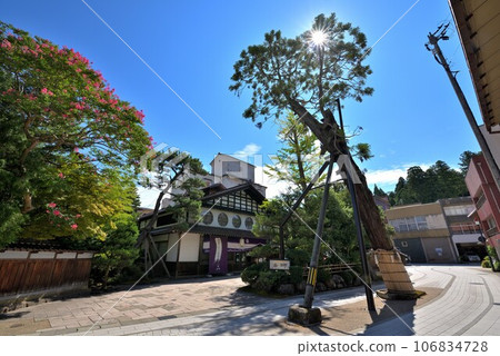 [Ishikawa Prefecture] Awazu Onsen townscape, 400-year-old Komon cedar 106834728
