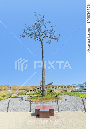 Rikuzentakata City, Iwate Prefecture, Takada Matsubara Tsunami Reconstruction Memorial Park, a symbol of earthquake recovery, a miraculous lone pine tree 106834776