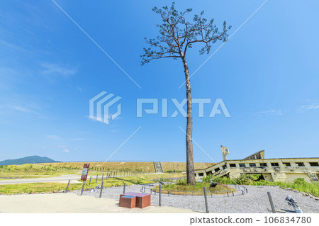 岩手縣陸前高田市高田松原海嘯重建紀念公園，地震恢復的象徵，一棵神奇的孤松樹 106834780
