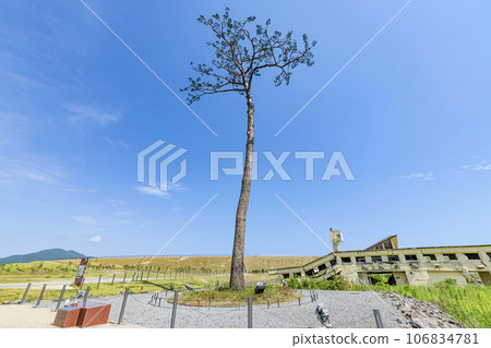 岩手縣陸前高田市高田松原海嘯重建紀念公園，地震恢復的象徵，一棵神奇的孤松樹 106834781