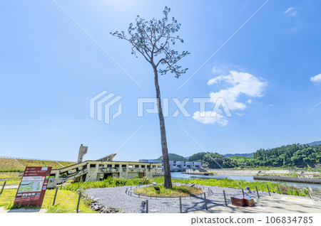 岩手縣陸前高田市高田松原海嘯重建紀念公園，地震恢復的象徵，一棵神奇的孤松樹 106834785