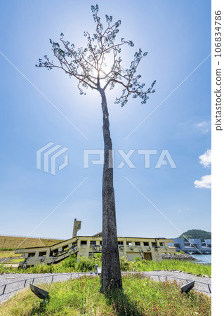 岩手縣陸前高田市，高田松原海嘯重建紀念公園，地震恢復的象徵，神奇的孤松及其剪影 106834786
