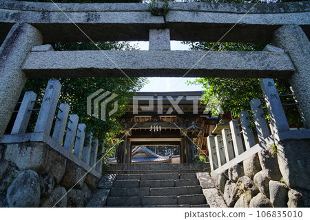 Hinoki Shrine in late summer Hinoki Shrine in late summer 106835010