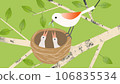 Parent birds feeding their chicks, wild birds 106835534