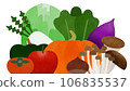 Autumn/winter vegetable illustration 106835537