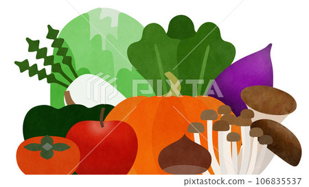 Autumn/winter vegetable illustration Autumn/winter vegetable illustration 106835537