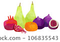 Illustration of fruit 106835543