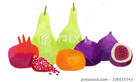 Illustration of fruit Illustration of fruit 106835543