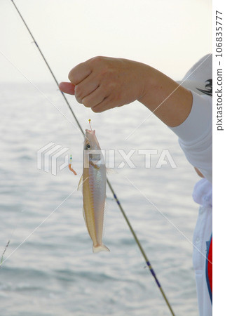 kiss boat fishing kiss boat fishing 106835777