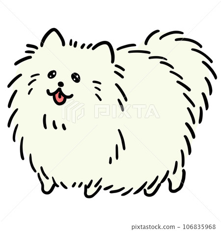 白色博美犬的插圖 106835968