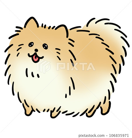 Illustration of brown pomeranian dog Illustration of brown pomeranian dog 106835971