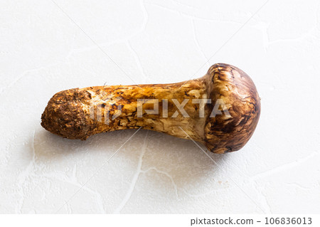 松茸 來自京都的優質松茸， 106836013
