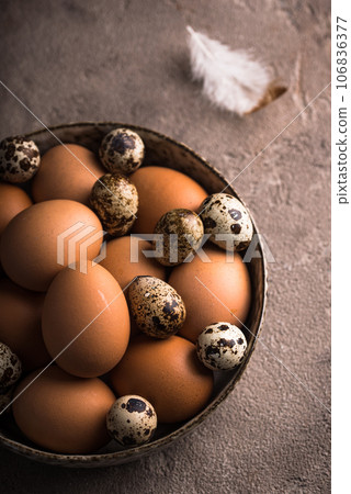 Chicken and quail eggs on brown background Chicken and quail eggs on brown background 106836377