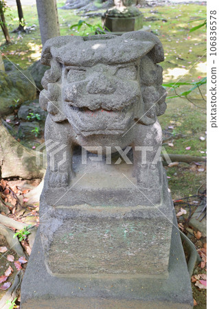 Guardian dogs at Akasaka Hikawa Shrine (Akasaka, Minato-ku, Tokyo) 106836578