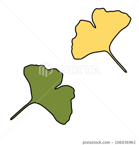 感受秋天的公孫樹葉子插圖 感受秋天的公孫樹葉子插圖 106836961