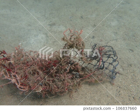 漂浮在沙子裡的漁網碎片 漂浮在沙子裡的漁網碎片 106837660