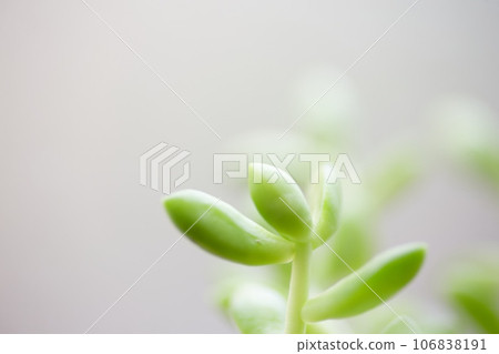 Macro world Macro world 106838191