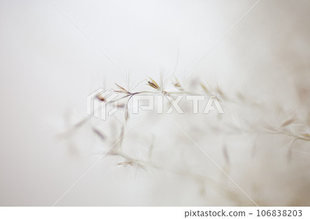 Macro world 106838203