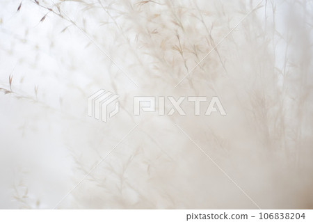 Macro world 106838204