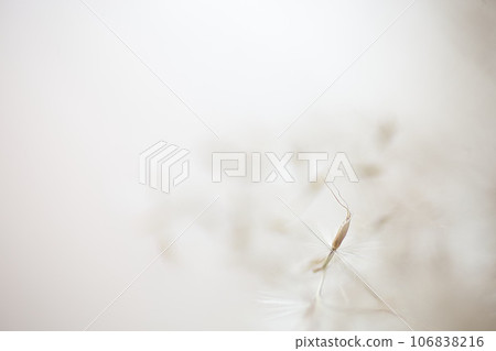 Macro world 106838216