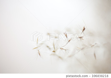 Macro world 106838218