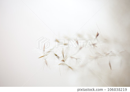Macro world 106838219
