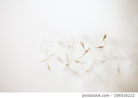 Macro world Macro world 106838222