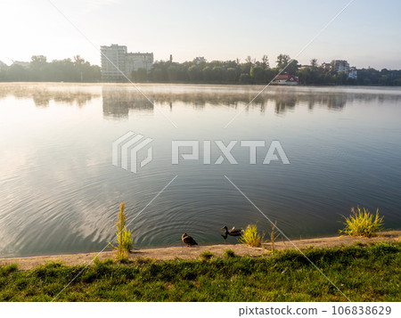 Ivano-Frankivsk lake in the morning 106838629