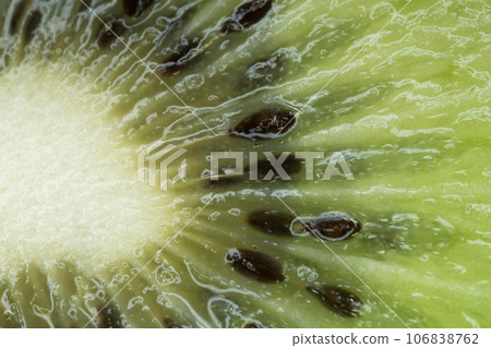 Kiwi cross section 106838762