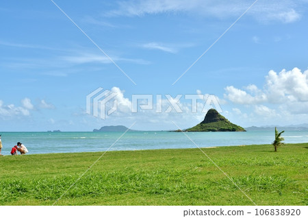 夏威夷的假期 夏威夷的假期 106838920