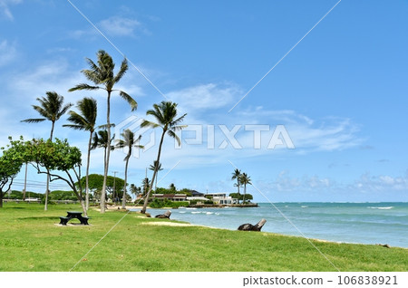 Holidays in Hawaii Holidays in Hawaii 106838921