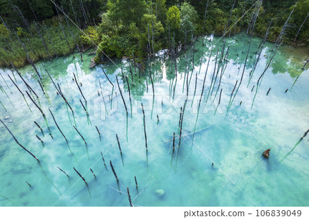 北海道美瑛白金藍池鳥瞰圖 北海道美瑛白金藍池鳥瞰圖 106839049