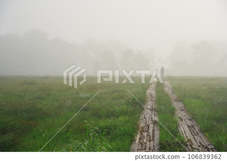 Ozegahara in summer wrapped in light morning mist 106839362