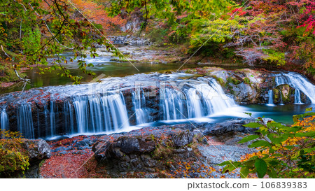 Asabu Valley in Autumn: Fudo Falls 106839383