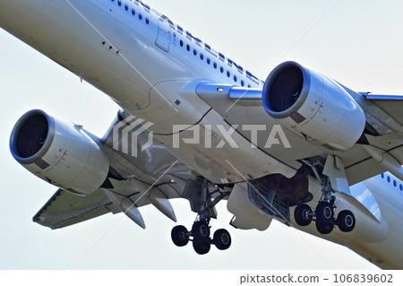 Osaka International Airport Passenger plane JAL takeoff Inagawa bank 106839602