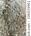 texture 106839961