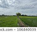 field 106840039