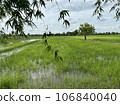 field 106840040