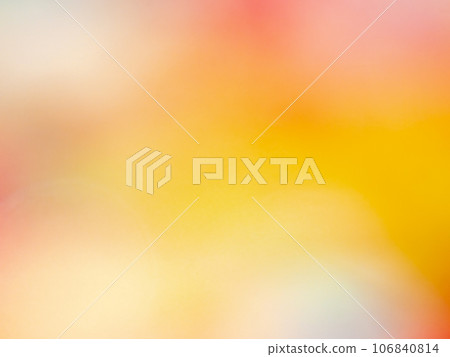 Background material: Back image based on colorful flower petals 106840814