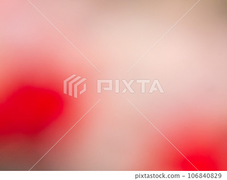 Background material: Back image based on colorful flower petals Background material: Back image based on colorful flower petals 106840829