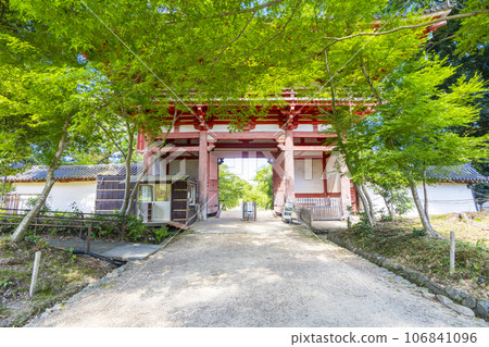 京都 醍醐寺 西大門 (仁王門) 夏季 京都 醍醐寺 西大門 (仁王門) 夏季 106841096