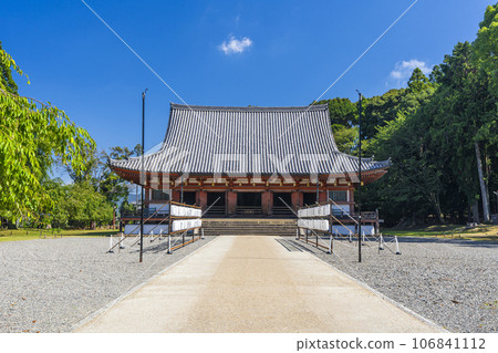 京都醍醐寺近藤夏季 京都醍醐寺近藤夏季 106841112