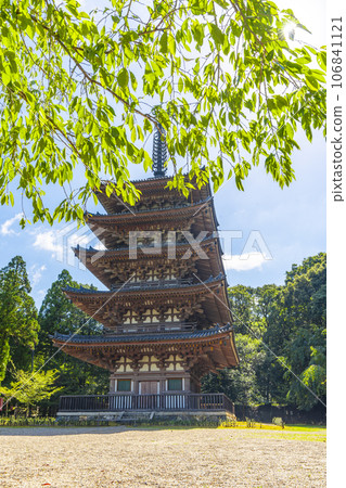Kyoto Daigoji Temple Five-storied Pagoda Summer Season 106841121