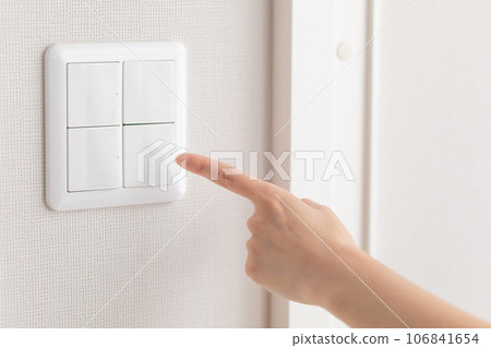 Stock Photo: Electric switch Stock Photo: Electric switch 106841654