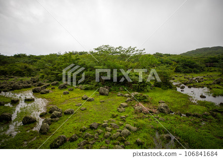 1100 Hill Wetland, a famous tourist attraction on Jeju Island, South Korea 1100 Hill Wetland, a famous tourist attraction on Jeju Island, South Korea 106841684